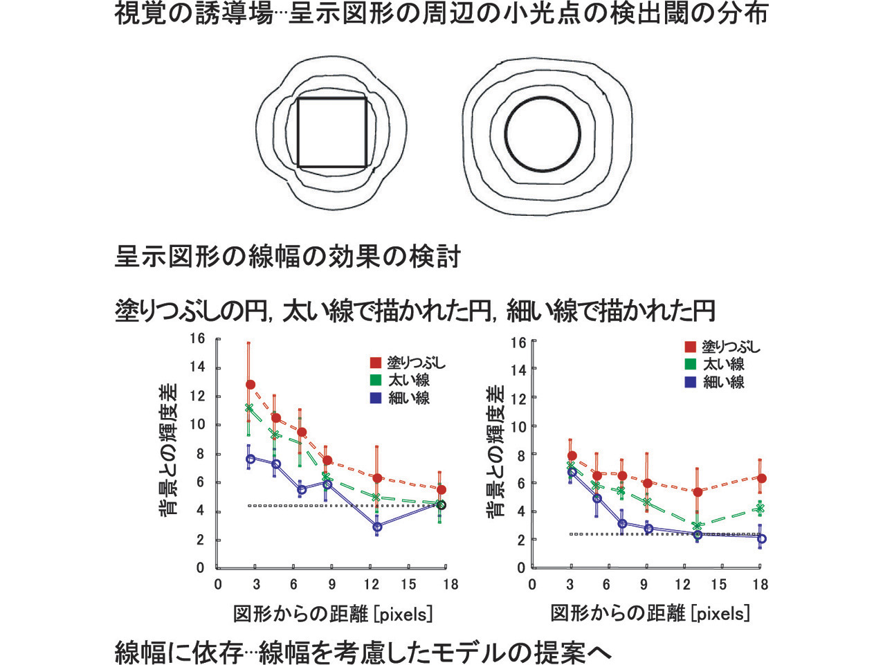 視覚の誘導場（線幅の効果）