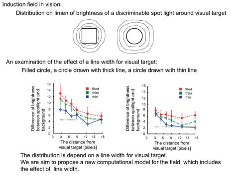 Figure : Induction field in vision (effect of line width)